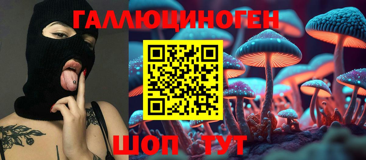Галлюциногенные грибы Psilocybe Владимир
